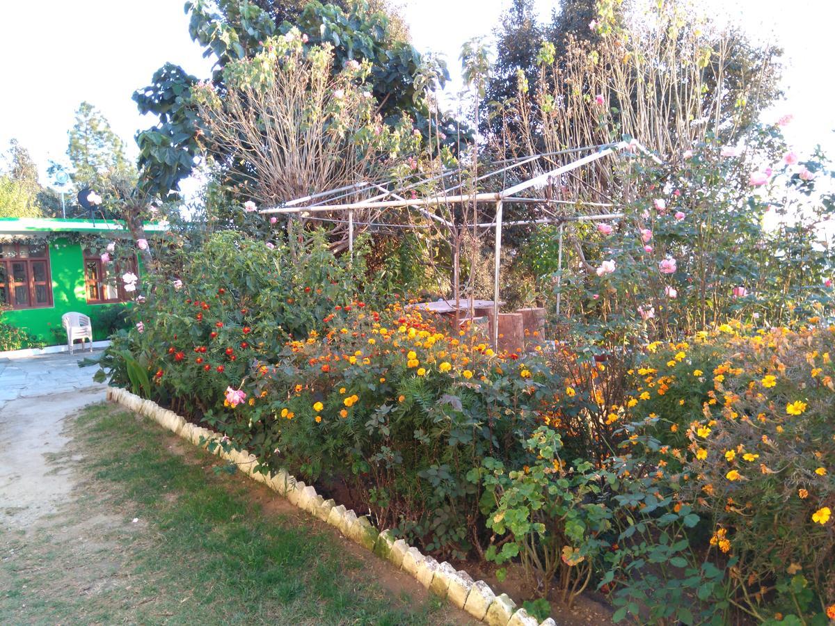 Maa Ananda Mayee Guest House Binsar Dış mekan fotoğraf