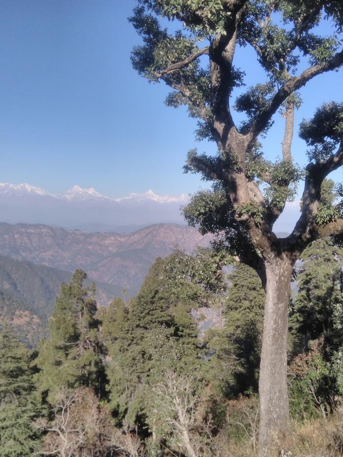 Maa Ananda Mayee Guest House Binsar Dış mekan fotoğraf
